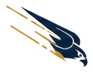 Falco in picchiata